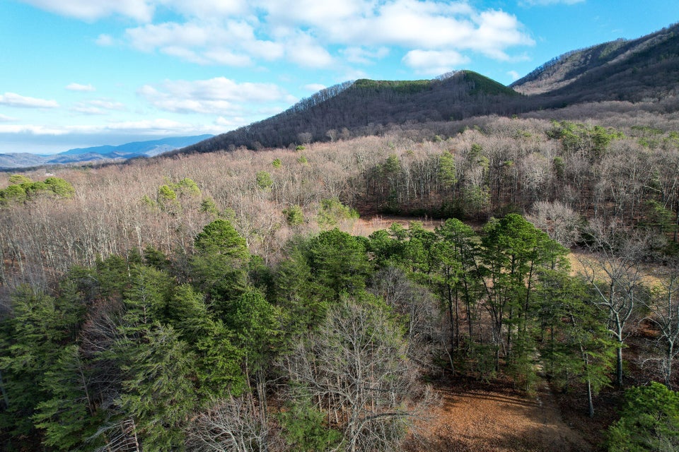 Photo #23: 67 Acres Perry Davis Road