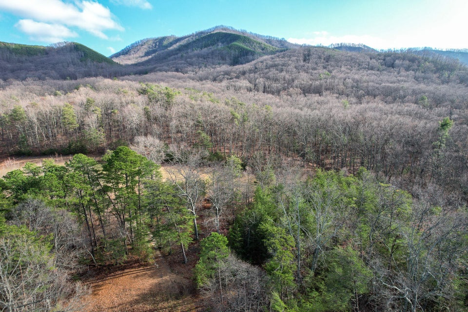 Photo #24: 67 Acres Perry Davis Road