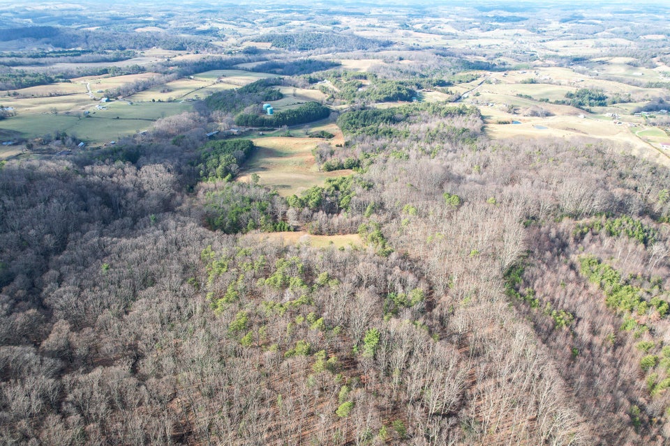 Photo #37: 67 Acres Perry Davis Road