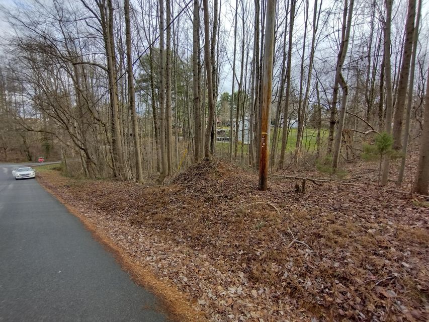 Photo #7: 115 John Sevier Avenue