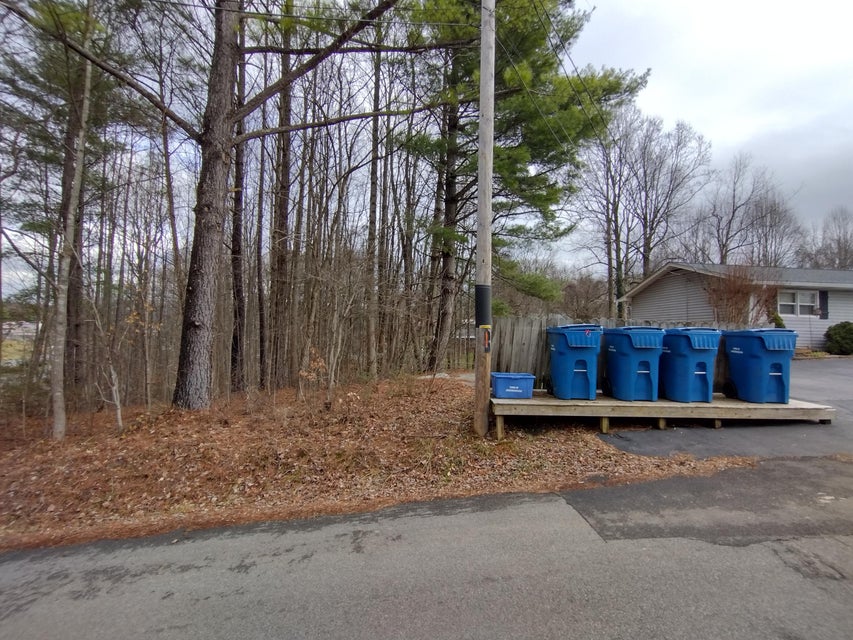 Photo #9: 115 John Sevier Avenue