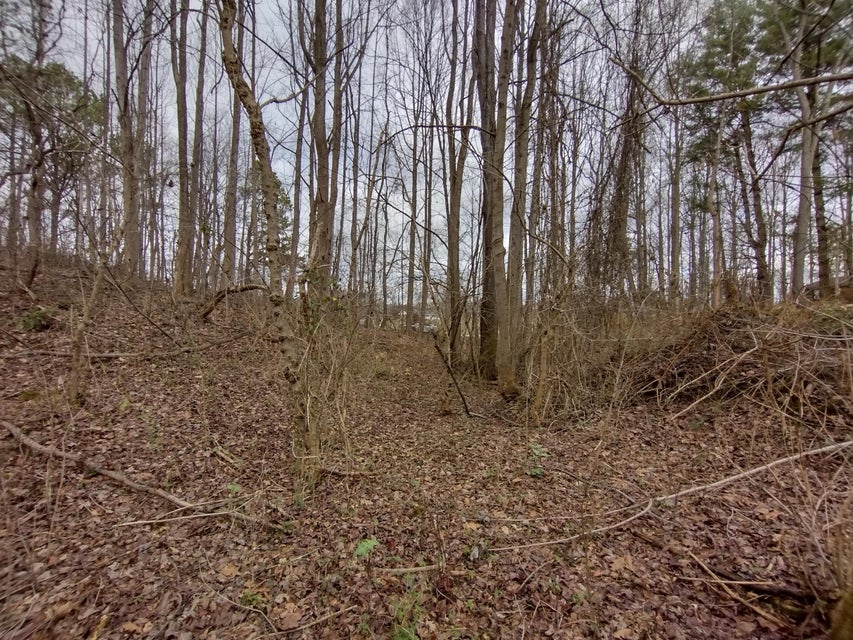 Photo #13: 115 John Sevier Avenue