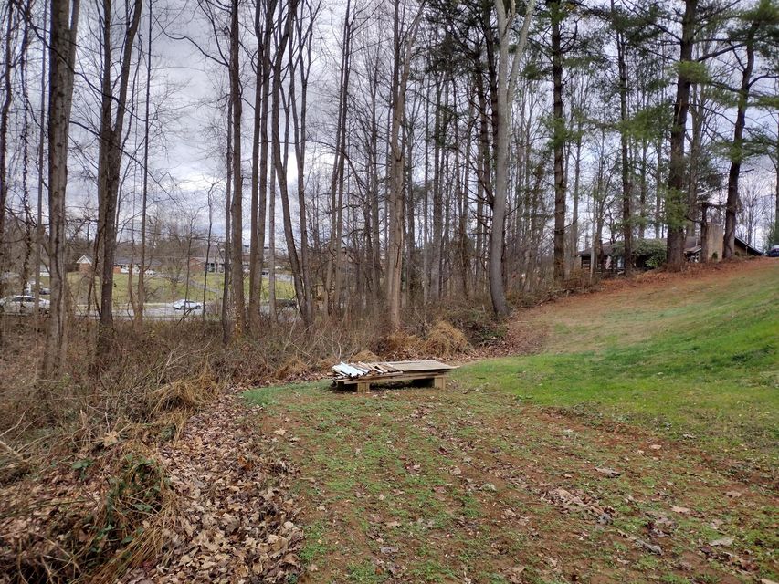 Photo #14: 115 John Sevier Avenue