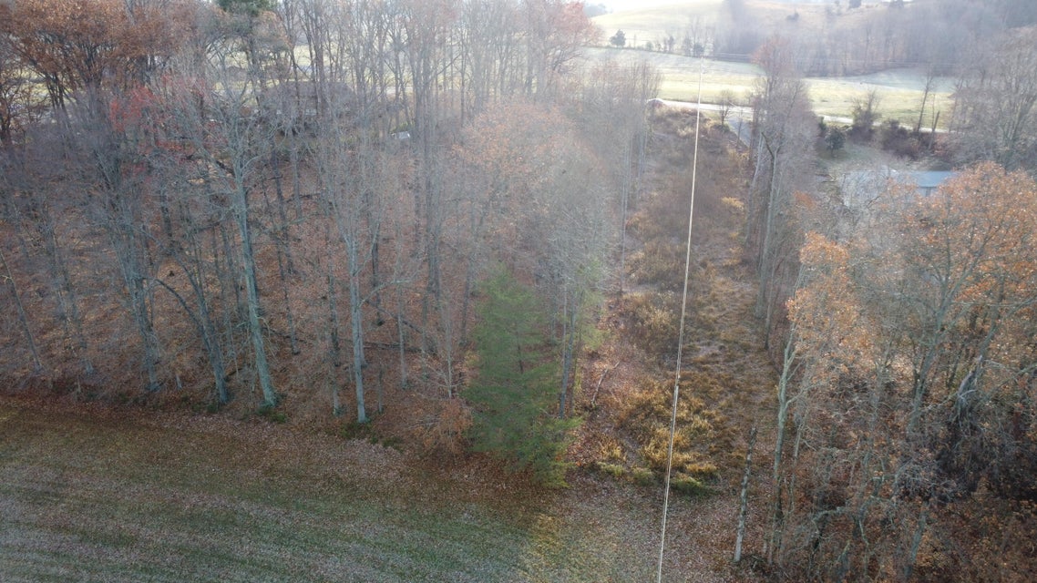 Photo #5: 1015 Jockey Road