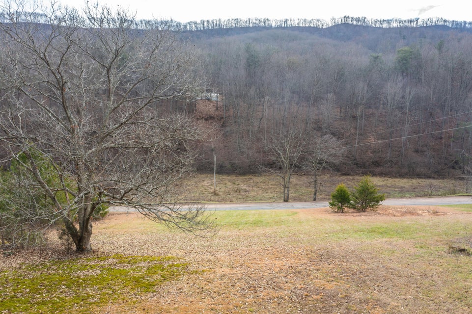 Photo #30: Tract 1 Grassy Creek Road