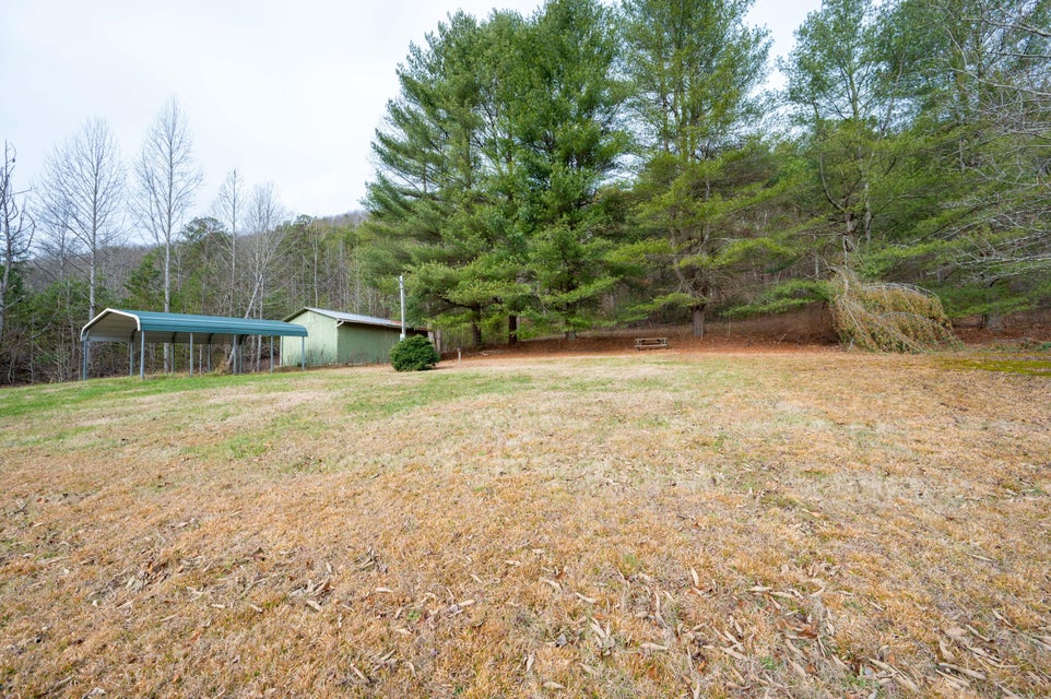 Photo #42: Tract 1 Grassy Creek Road