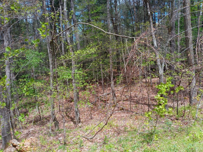Photo #3: 170 Buckshot Lane