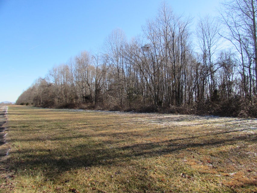 Photo #33: 684 Reuille Ridge Drive