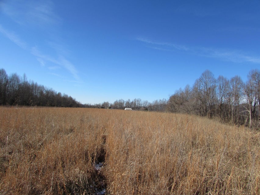 Photo #41: 684 Reuille Ridge Drive