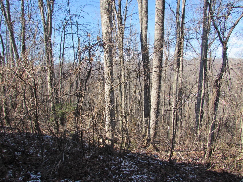 Photo #46: 684 Reuille Ridge Drive