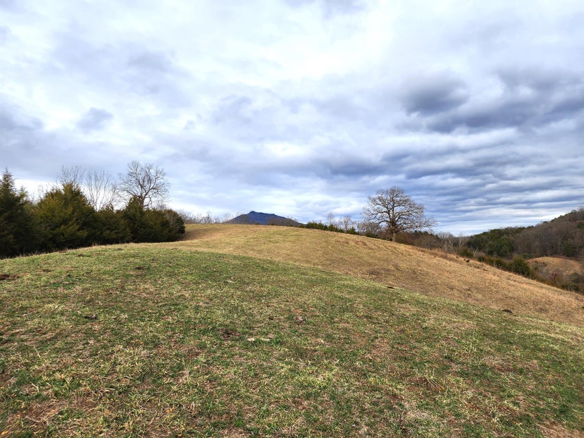 Photo #9: 34 Acres Woolsey Road
