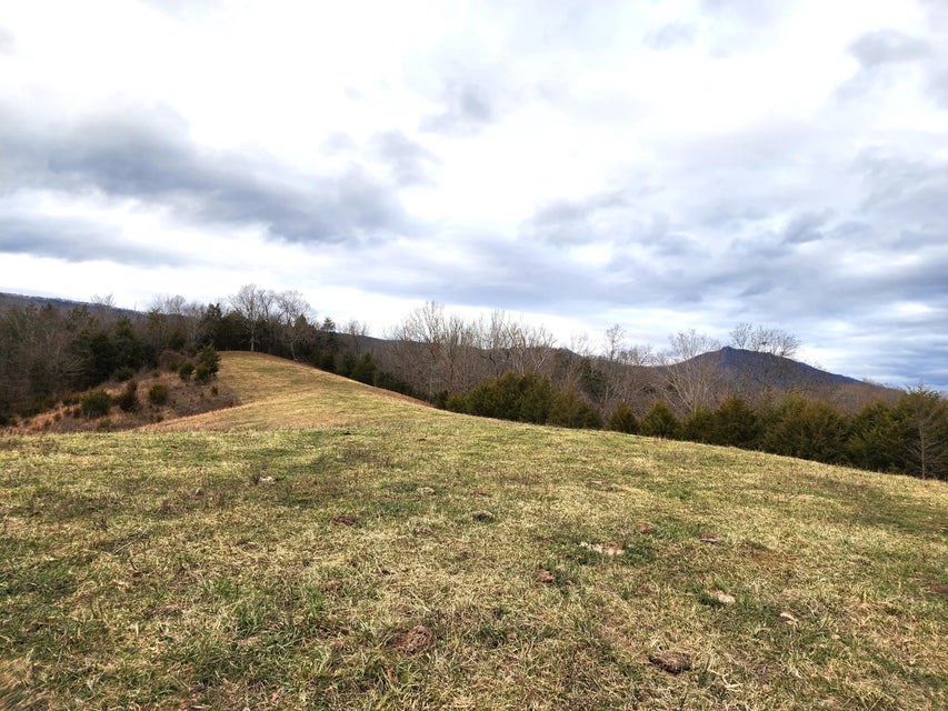 Photo #11: 34 Acres Woolsey Road