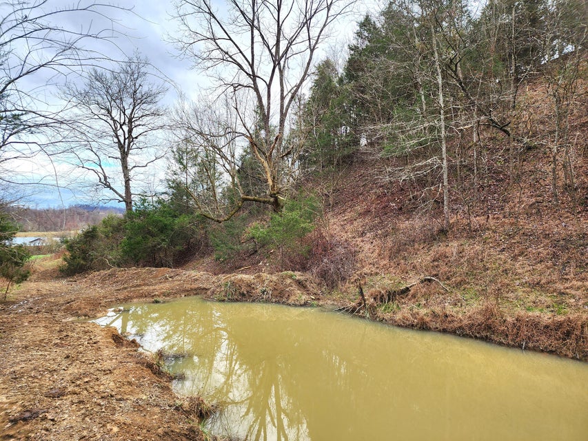 Photo #13: 34 Acres Woolsey Road
