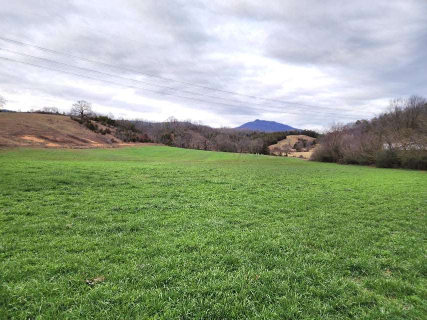 Photo #22: 34 Acres Woolsey Road