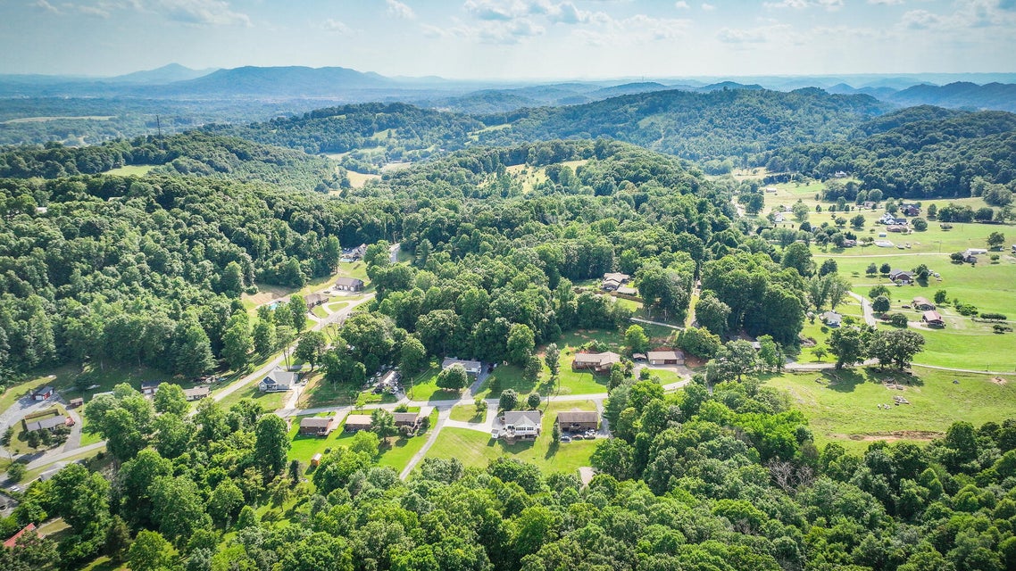 Photo #51: 631 Chadwell Road