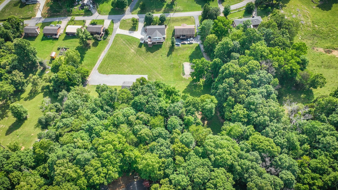 Photo #52: 631 Chadwell Road