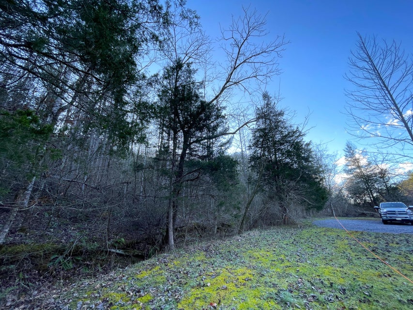Photo #6: 3952 Jones Cove Road