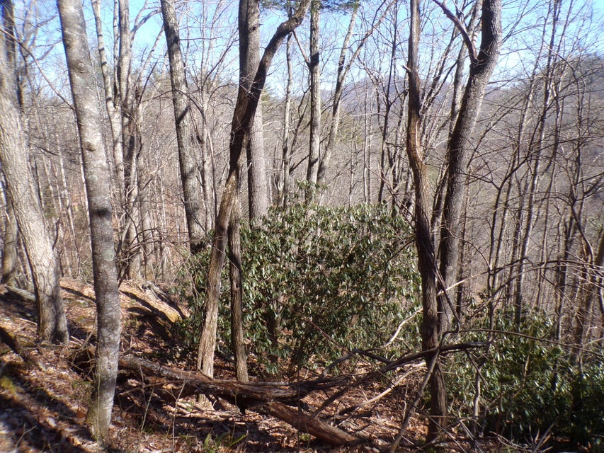 Photo #2: Tbd Banjo Ridge Road