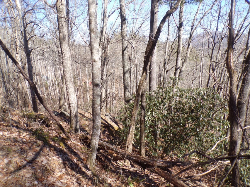 Photo #3: Tbd Banjo Ridge Road