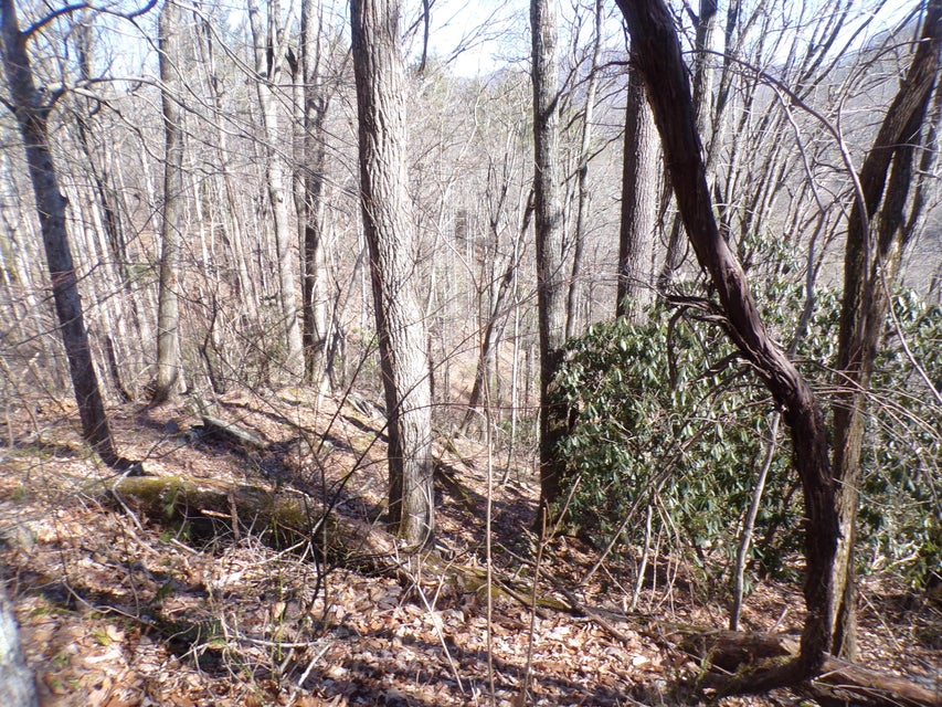 Photo #4: Tbd Banjo Ridge Road