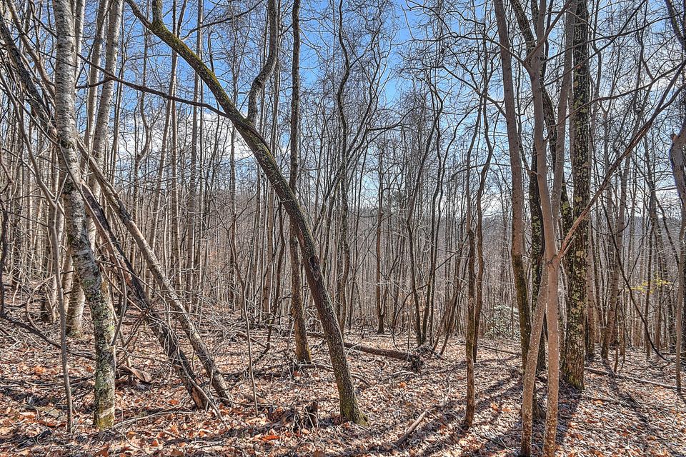 Photo #4: 0 Five Forks Lane