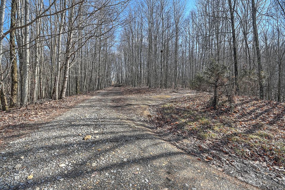 Photo #22: 0 Five Forks Lane
