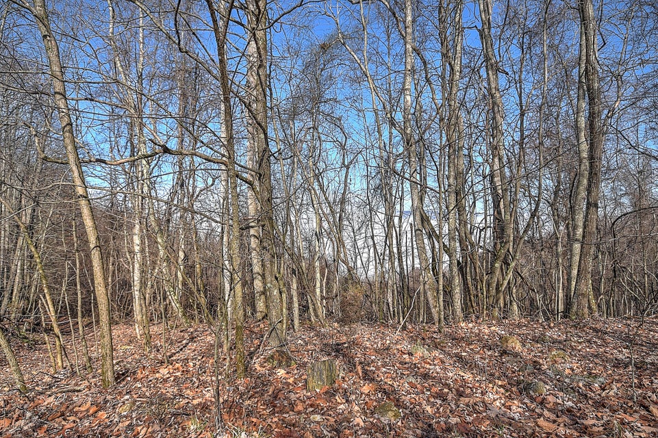 Photo #23: 0 Five Forks Lane
