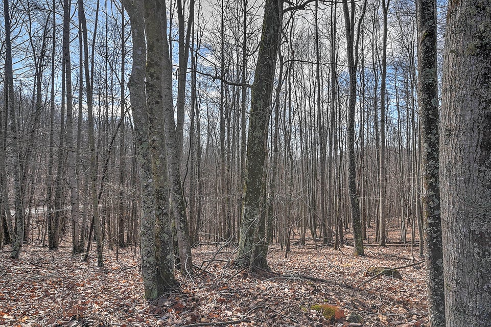 Photo #24: 0 Five Forks Lane