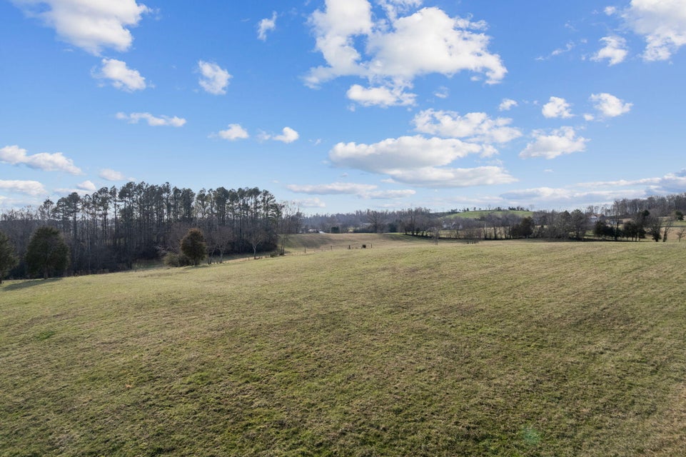 Photo #9: 686 Opie Arnold Rd Road