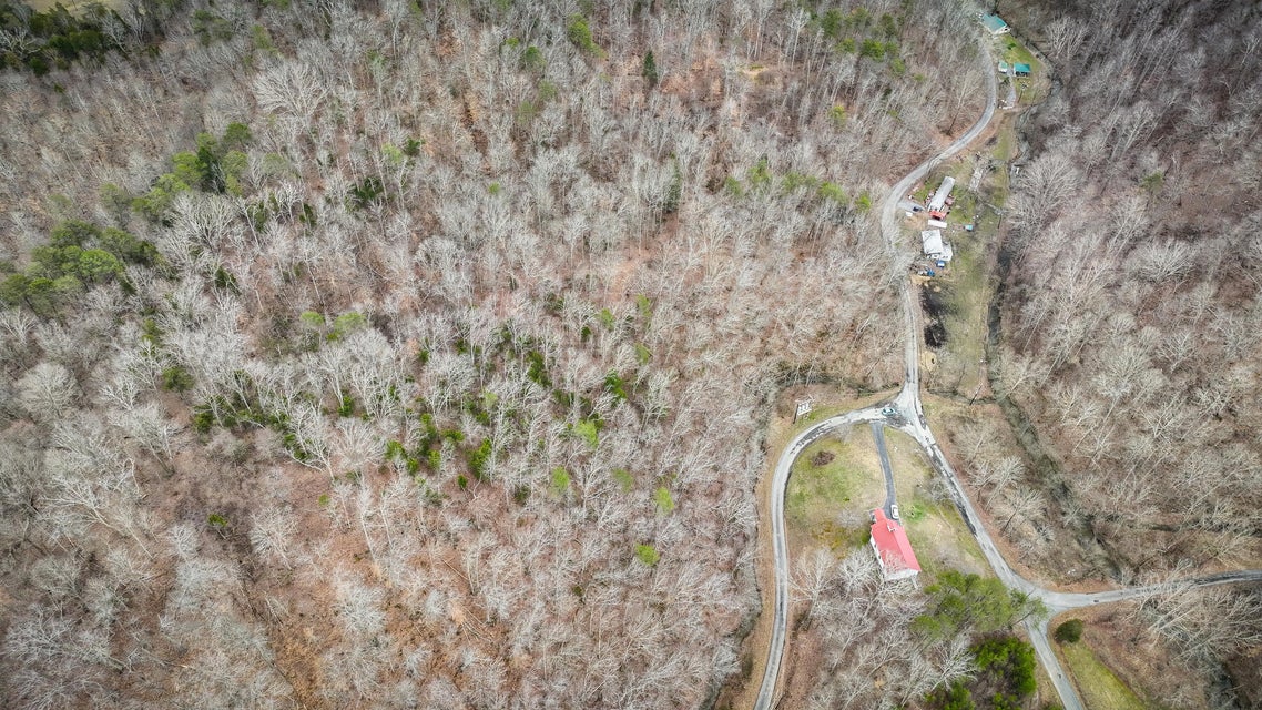 Photo #4: Tbd Honeycutt Rd Road