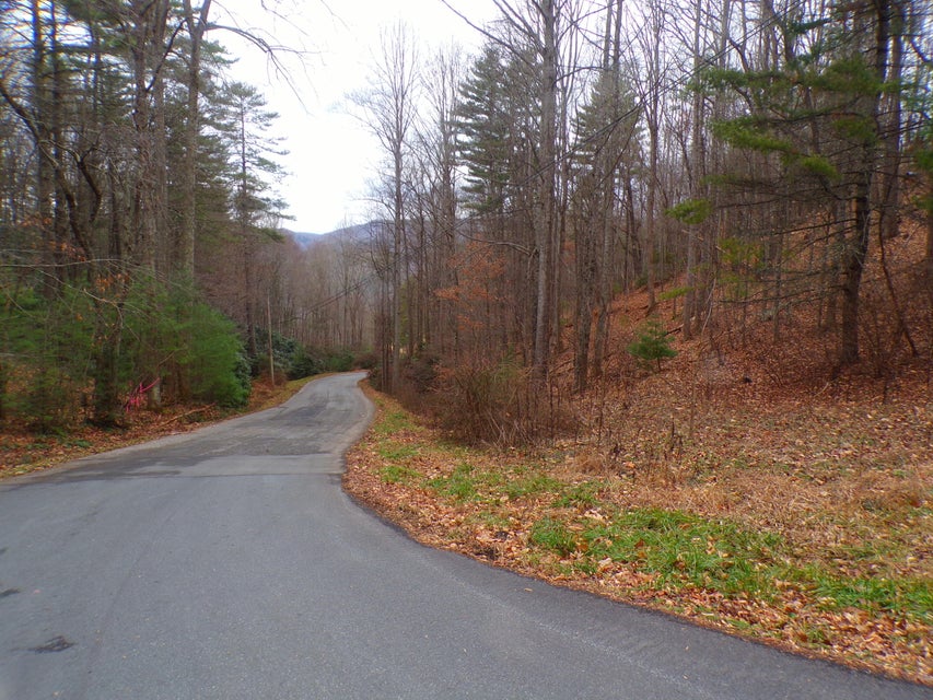Photo #3: Tbd Callalantee Drive