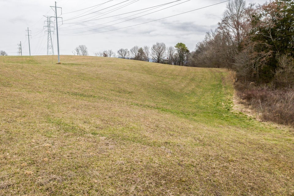 Photo #15: 350 Reed Road