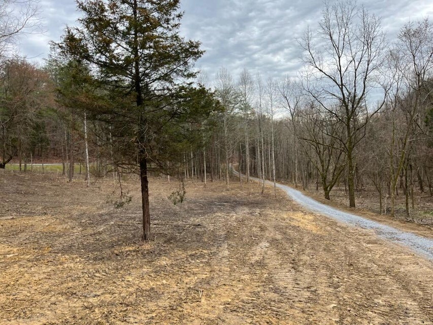 Photo #23: Tbd Wattenbarger Gap Road