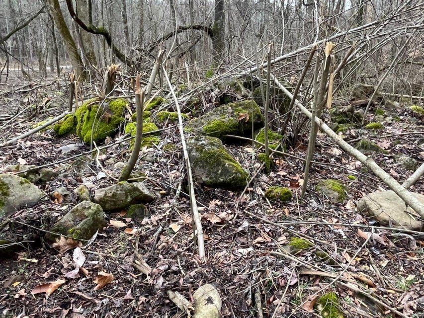 Photo #22: Tbd Wattenbarger Gap Road
