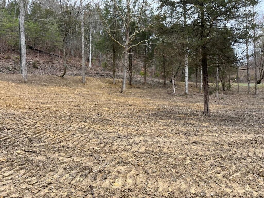 Photo #3: Tbd Wattenbarger Gap Road
