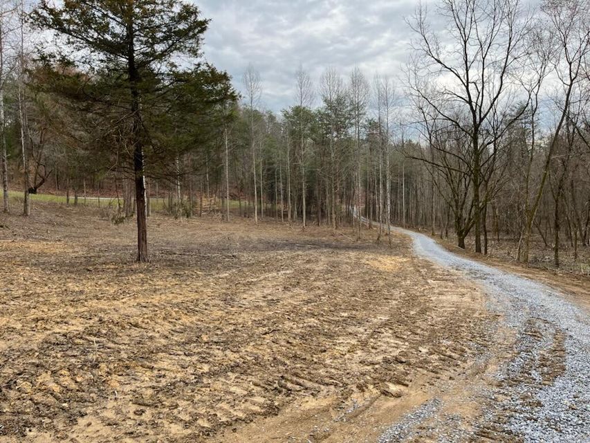 Photo #24: Tbd Wattenbarger Gap Road