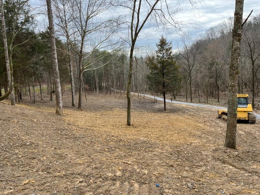 Photo #30: Tbd Wattenbarger Gap Road