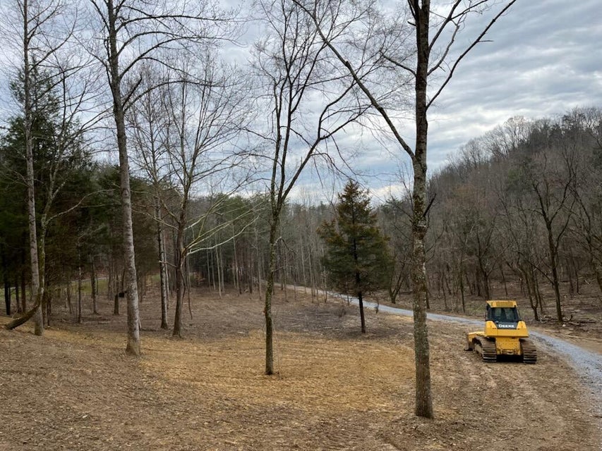 Photo #31: Tbd Wattenbarger Gap Road