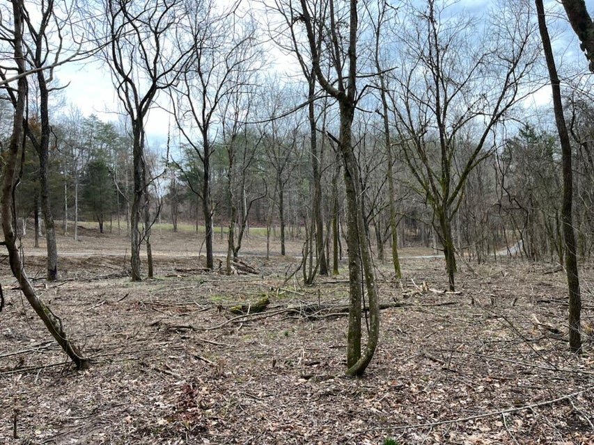 Photo #10: Tbd Wattenbarger Gap Road