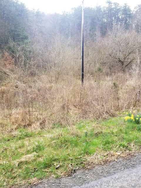Photo #2: 1441 Lower Caney Valley Road