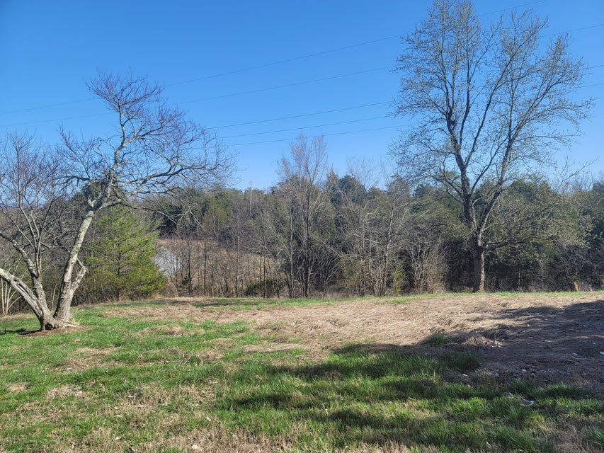 Photo #3: 985 Oak Hills Road