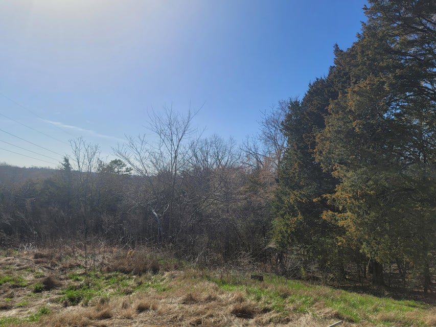 Photo #28: 985 Oak Hills Road