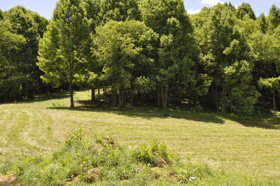 Photo #5: Tbd Wyndale Rd/ Cloudview Rd