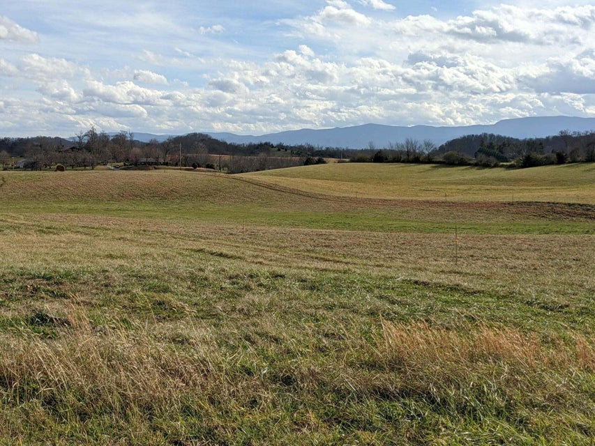 Photo #3: Lot 3b Mary Lamons Road