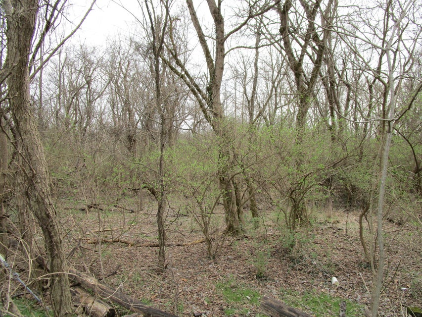 Photo #5: Tbd 5th Street Extension