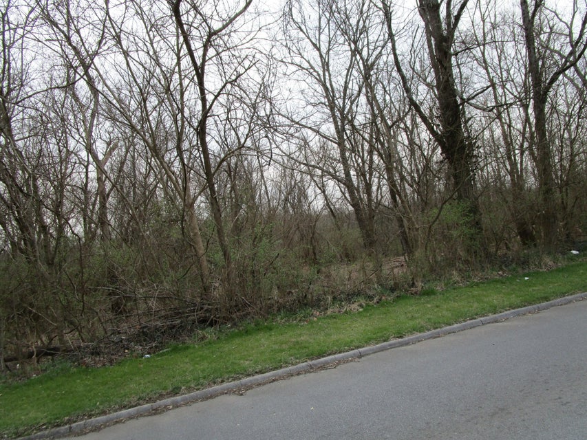 Photo #4: Tbd 5th Street Extension