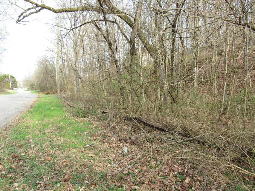 Photo #3: Lot 20 Big River Overlook Drive
