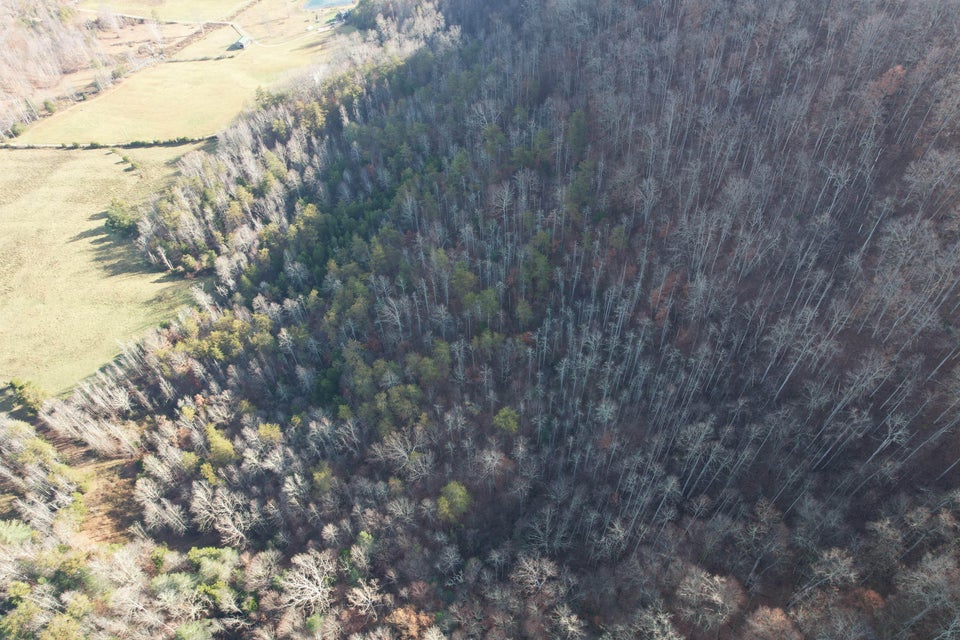 Photo #22: 000 Hunters Valley East