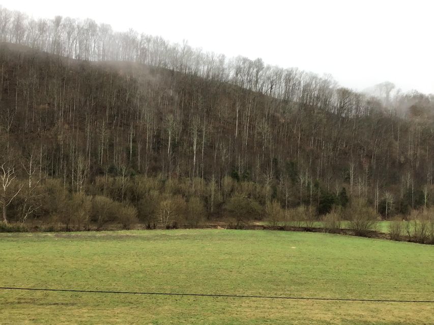 Photo #4: 8148 Fairview Road
