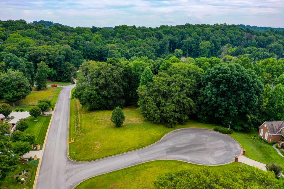 Photo #8: Lt 17 Chimney Top Lane